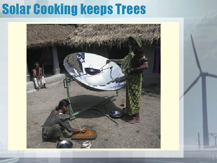 Solar Cooking keeps Trees 