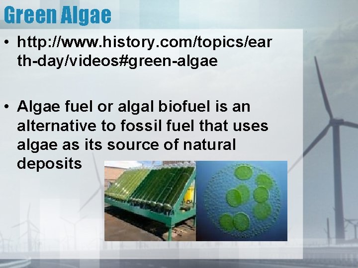 Green Algae • http: //www. history. com/topics/ear th-day/videos#green-algae • Algae fuel or algal biofuel
