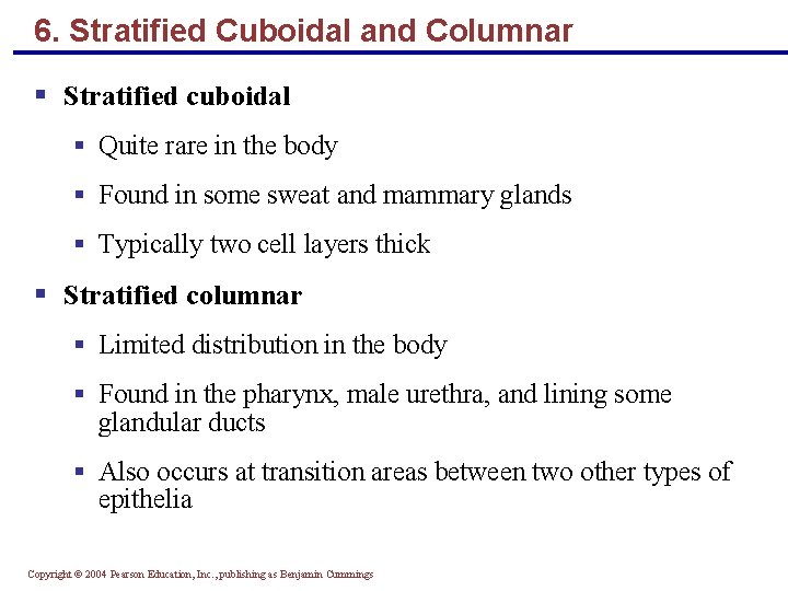 6. Stratified Cuboidal and Columnar § Stratified cuboidal § Quite rare in the body