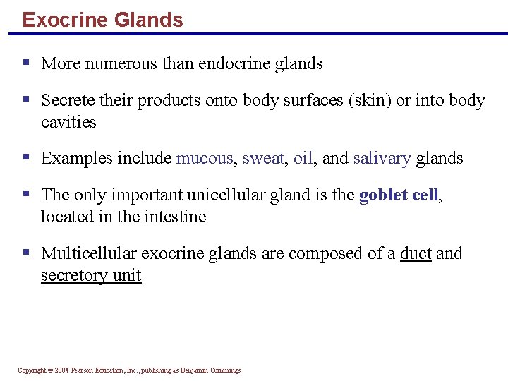 Exocrine Glands § More numerous than endocrine glands § Secrete their products onto body