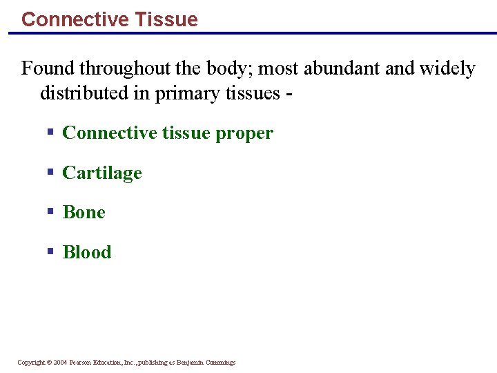 Connective Tissue Found throughout the body; most abundant and widely distributed in primary tissues