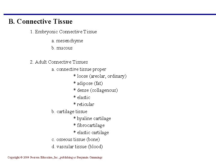 B. Connective Tissue 1. Embryonic Connective Tissue a. mesenchyme b. mucous 2. Adult Connective