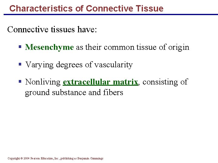 Characteristics of Connective Tissue Connective tissues have: § Mesenchyme as their common tissue of