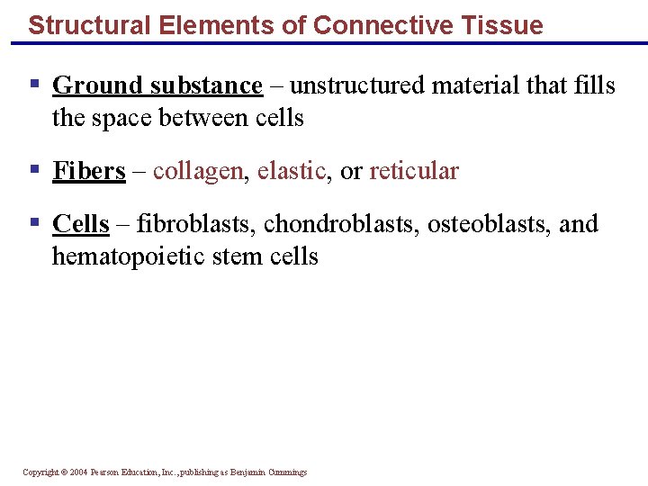 Structural Elements of Connective Tissue § Ground substance – unstructured material that fills the