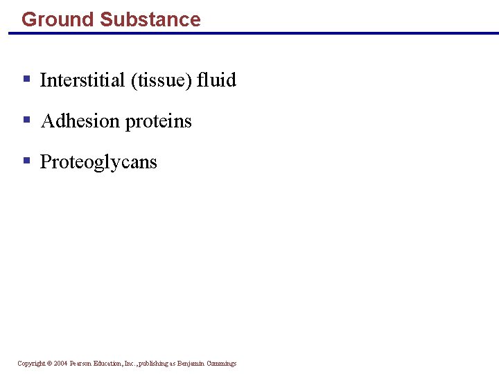 Ground Substance § Interstitial (tissue) fluid § Adhesion proteins § Proteoglycans Copyright © 2004