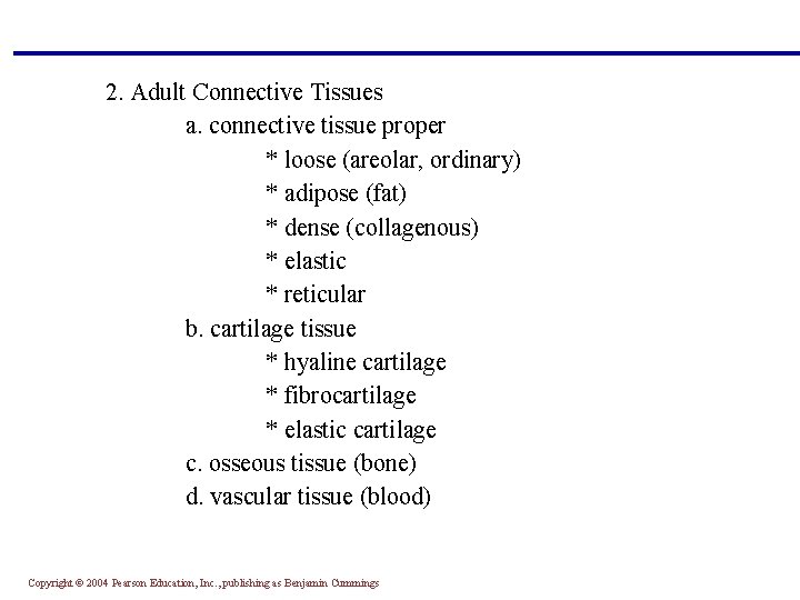 2. Adult Connective Tissues a. connective tissue proper * loose (areolar, ordinary) * adipose