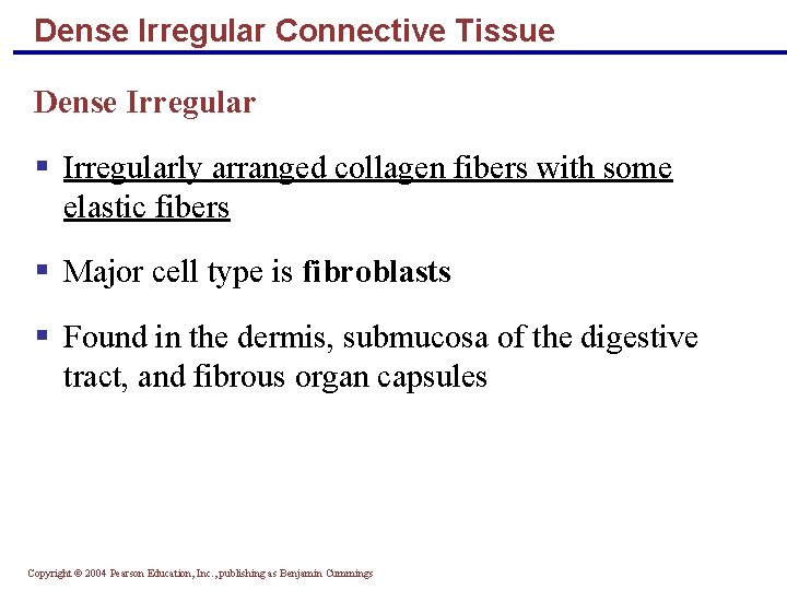 Dense Irregular Connective Tissue Dense Irregular § Irregularly arranged collagen fibers with some elastic