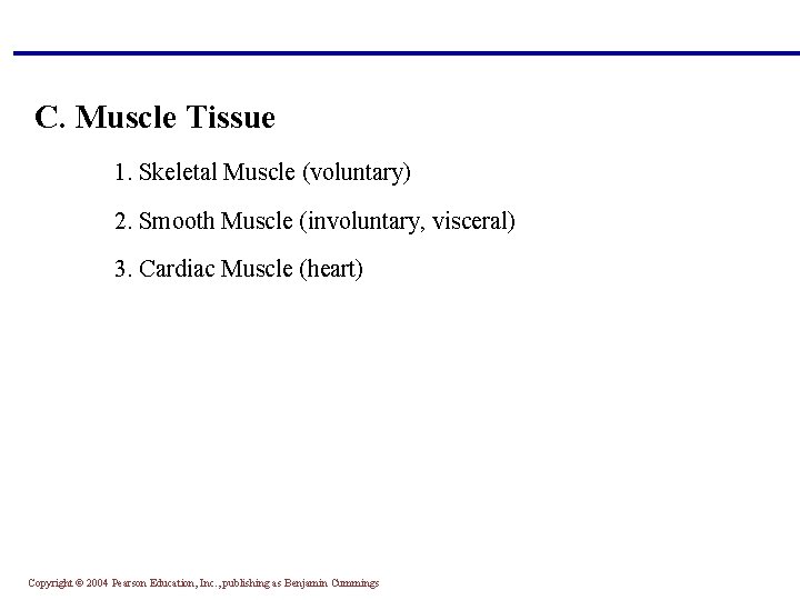 C. Muscle Tissue 1. Skeletal Muscle (voluntary) 2. Smooth Muscle (involuntary, visceral) 3. Cardiac