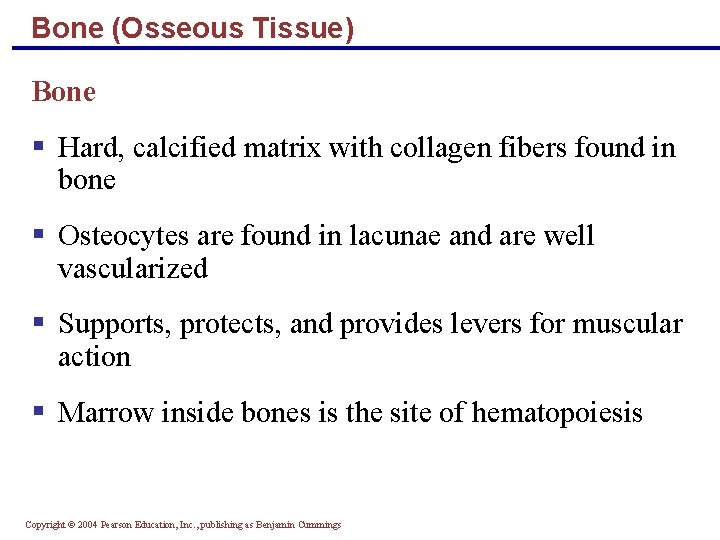 Bone (Osseous Tissue) Bone § Hard, calcified matrix with collagen fibers found in bone