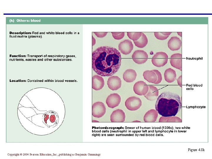 Figure 4. 8 k Copyright © 2004 Pearson Education, Inc. , publishing as Benjamin