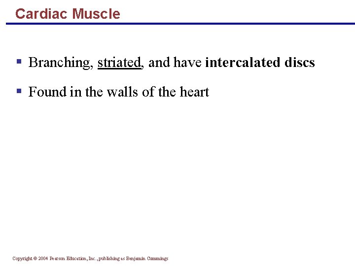 Cardiac Muscle § Branching, striated, and have intercalated discs § Found in the walls