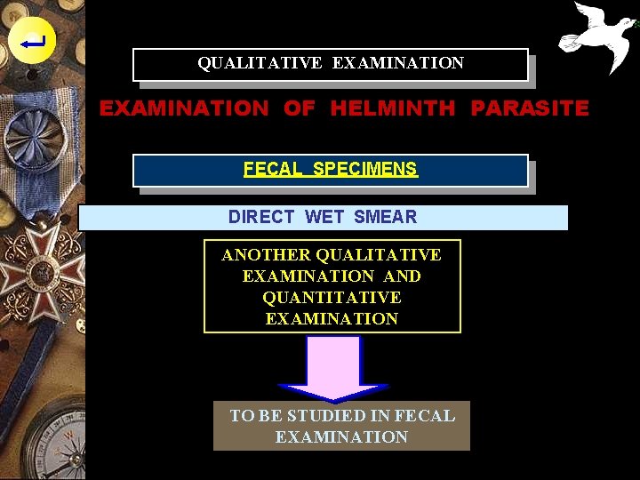 QUALITATIVE EXAMINATION OF HELMINTH PARASITE FECAL SPECIMENS DIRECT WET SMEAR ANOTHER QUALITATIVE EXAMINATION AND