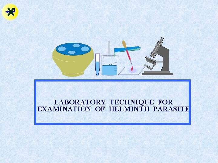 LABORATORY TECHNIQUE FOR EXAMINATION OF HELMINTH PARASITE 