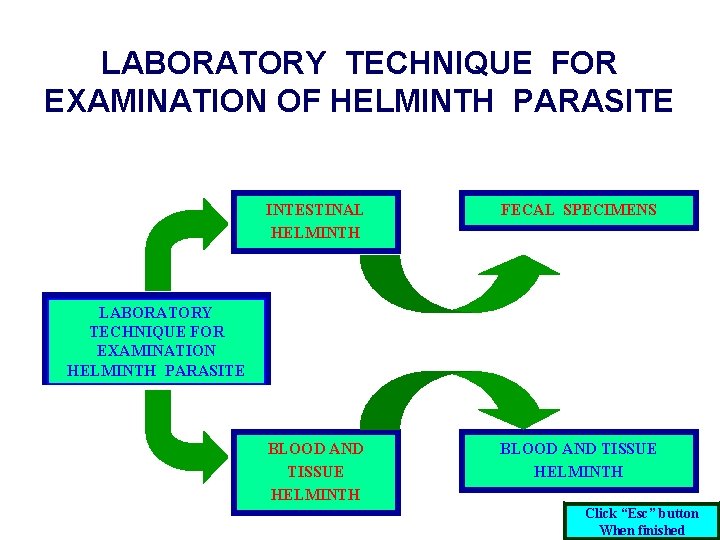 LABORATORY TECHNIQUE FOR EXAMINATION OF HELMINTH PARASITE INTESTINAL HELMINTH FECAL SPECIMENS BLOOD AND TISSUE