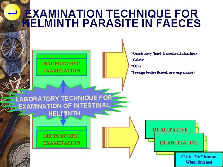 EXAMINATION TECHNIQUE FOR HELMINTH PARASITE IN FAECES *Consistency (hard, formed, soft, diarrhea) MACROSCOPIC EXAMINATION