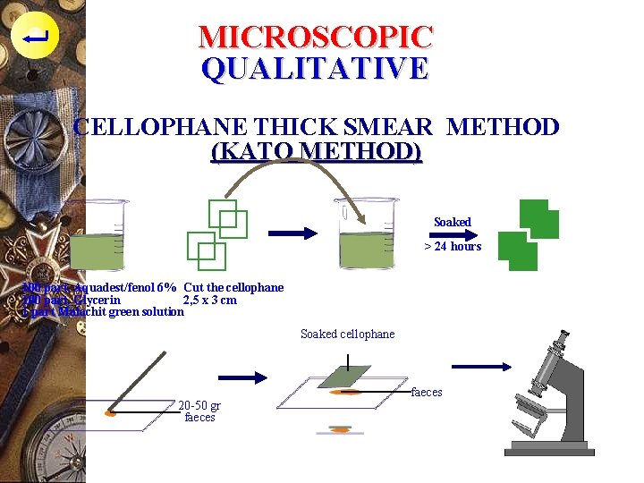 MICROSCOPIC QUALITATIVE CELLOPHANE THICK SMEAR METHOD (KATO METHOD) Soaked > 24 hours 100 part.