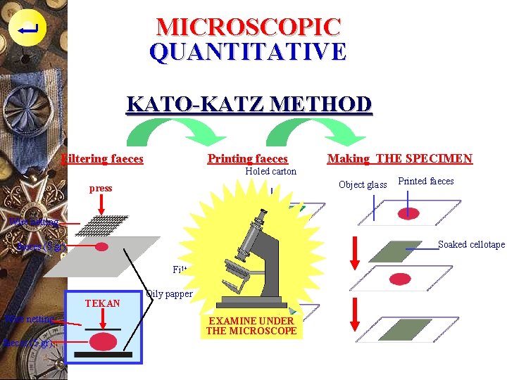 MICROSCOPIC QUANTITATIVE KATO-KATZ METHOD Filtering faeces Printing faeces Making THE SPECIMEN Holed carton Object