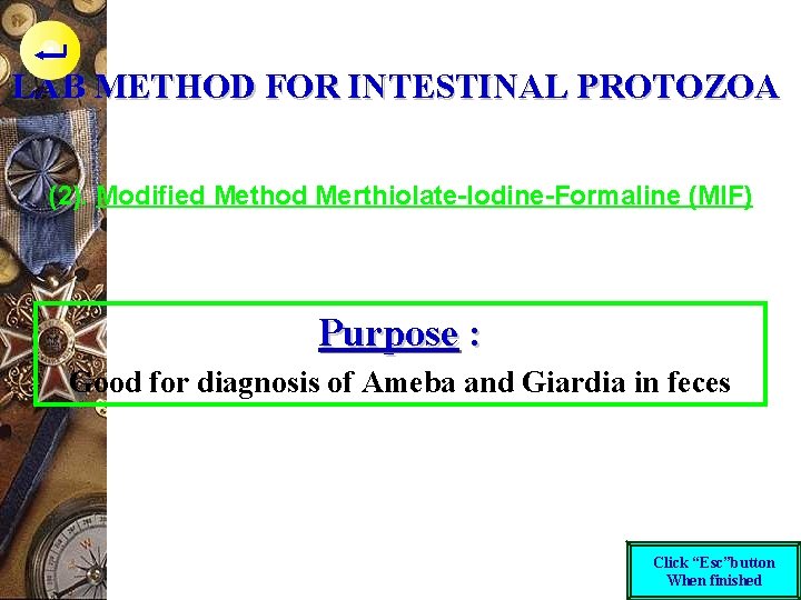 LAB METHOD FOR INTESTINAL PROTOZOA (2). Modified Method Merthiolate-Iodine-Formaline (MIF) Purpose : Good for