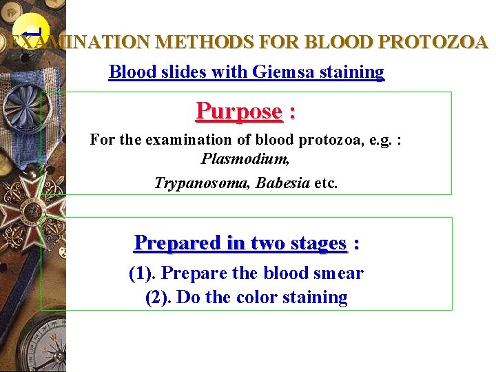 EXAMINATION METHODS FOR BLOOD PROTOZOA Blood slides with Giemsa staining Purpose : For the