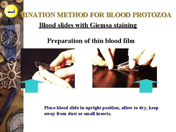 EXAMINATION METHOD FOR BLOOD PROTOZOA Blood slides with Giemsa staining Preparation of thin blood