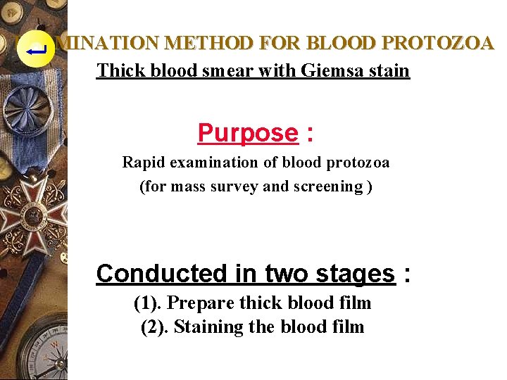 EXAMINATION METHOD FOR BLOOD PROTOZOA Thick blood smear with Giemsa stain Purpose : Rapid