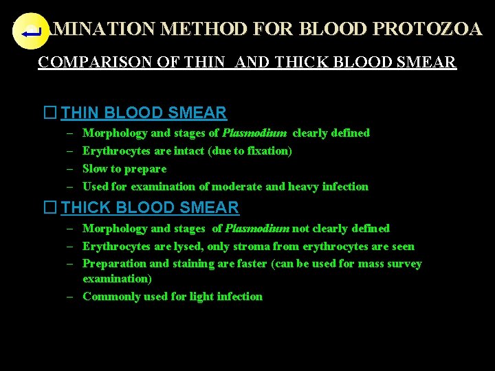 EXAMINATION METHOD FOR BLOOD PROTOZOA COMPARISON OF THIN AND THICK BLOOD SMEAR � THIN