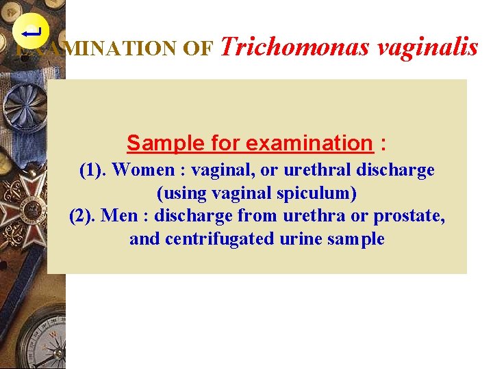 EXAMINATION OF Trichomonas vaginalis Sample for examination : (1). Women : vaginal, or urethral