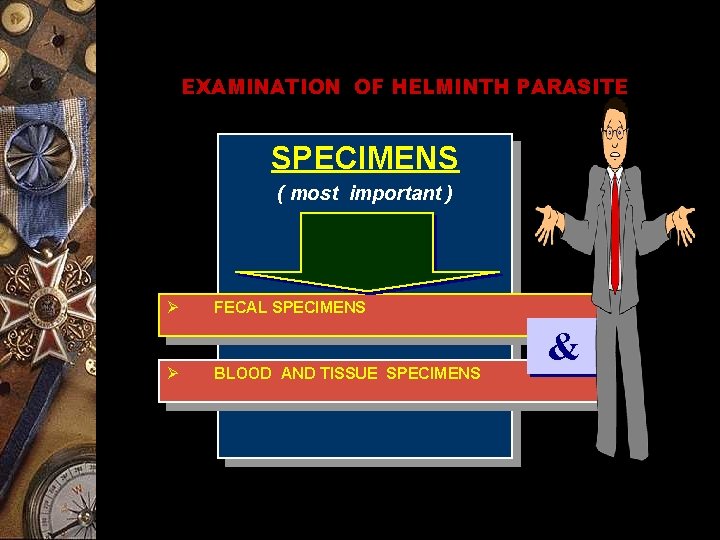 EXAMINATION OF HELMINTH PARASITE SPECIMENS ( most important ) Ø Ø FECAL SPECIMENS BLOOD