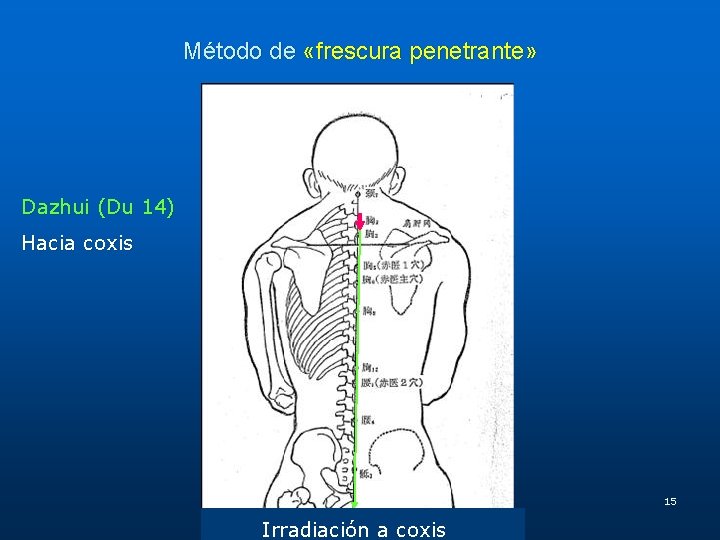 Método de «frescura penetrante» Dazhui (Du 14) Hacia coxis 15 Irradiación a coxis 