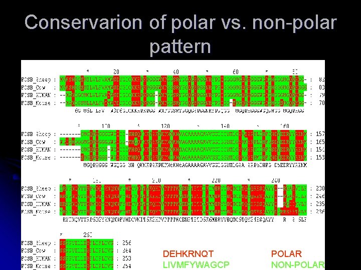 Conservarion of polar vs. non-polar pattern PROPERTIES Level 1 DEHKRNQT LIVMFYWAGCP POLAR NON-POLAR 