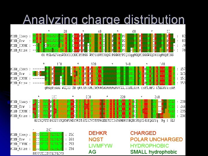 Analyzing charge distribution Level 2 DEHKR NQST LIVMFYW AG CHARGED POLAR UNCHARGED HYDROPHOBIC SMALL