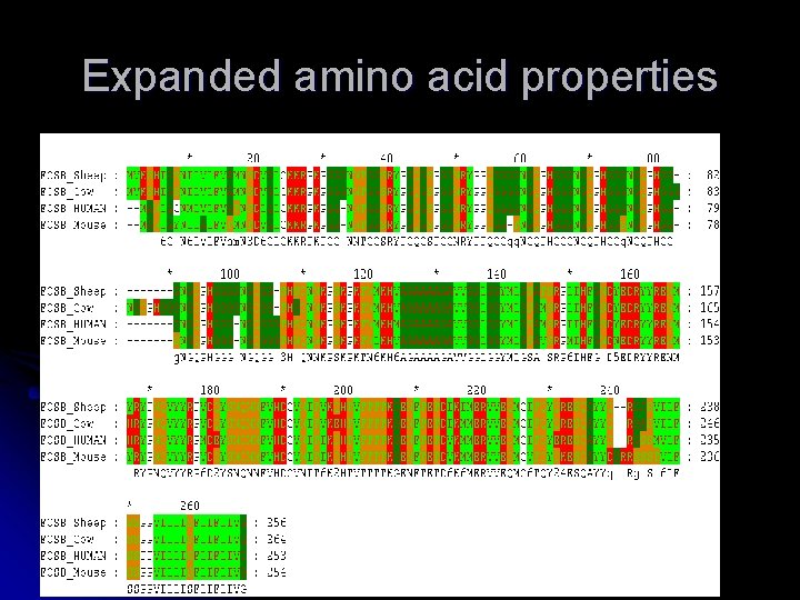 Expanded amino acid properties 