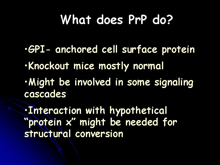 What does Pr. P do? • GPI- anchored cell surface protein • Knockout mice