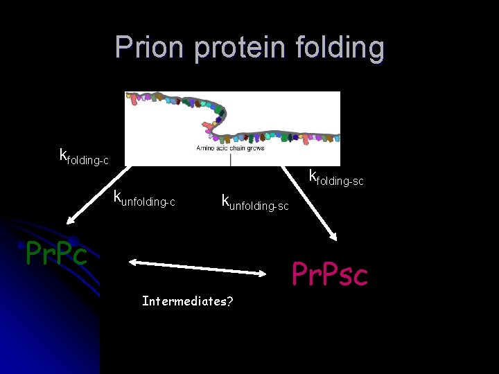 Prion protein folding kfolding-c kunfolding-c kfolding-sc kunfolding-sc Pr. Pc Intermediates? Pr. Psc 