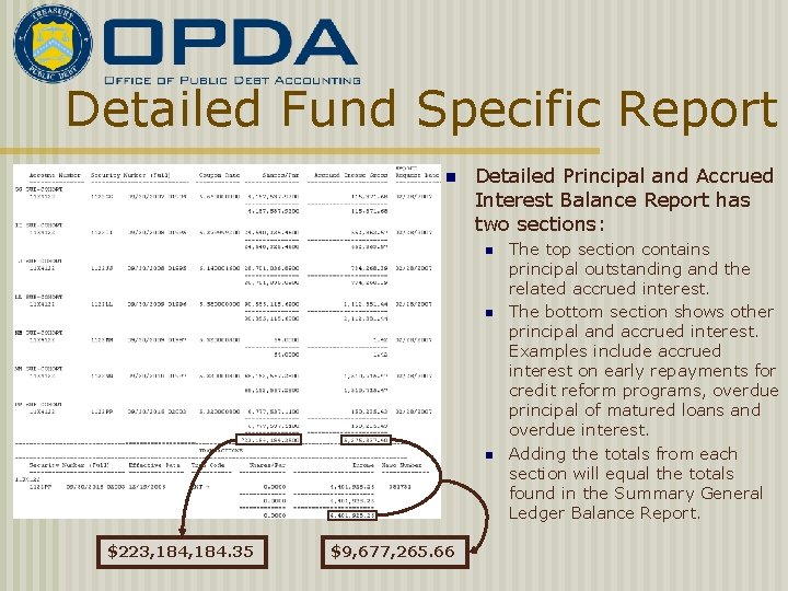 Detailed Fund Specific Report n Detailed Principal and Accrued Interest Balance Report has two