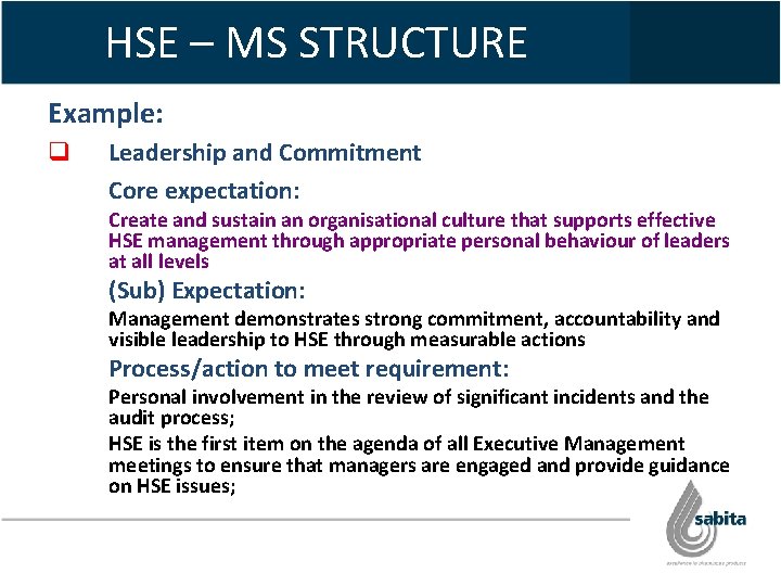 HSE – MS STRUCTURE Example: q Leadership and Commitment Core expectation: Create and sustain