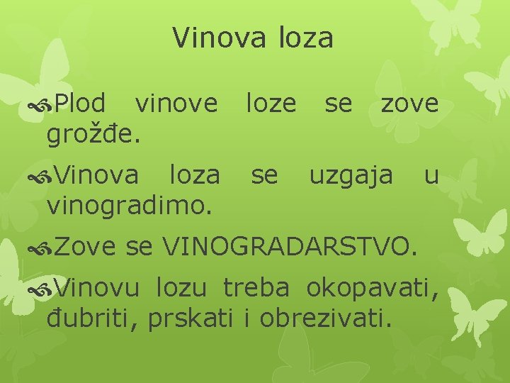 Vinova loza Plod vinove grožđe. loze Vinova loza vinogradimo. se se zove uzgaja u