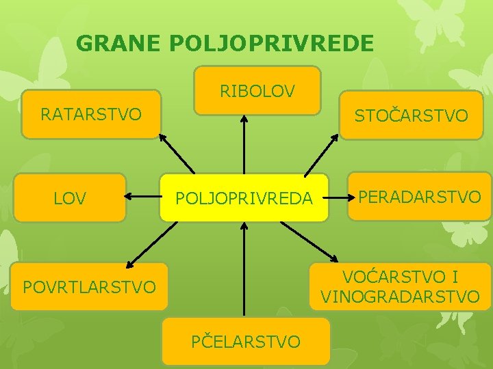 GRANE POLJOPRIVREDE RIBOLOV RATARSTVO LOV STOČARSTVO POLJOPRIVREDA PERADARSTVO VOĆARSTVO I VINOGRADARSTVO POVRTLARSTVO PČELARSTVO 