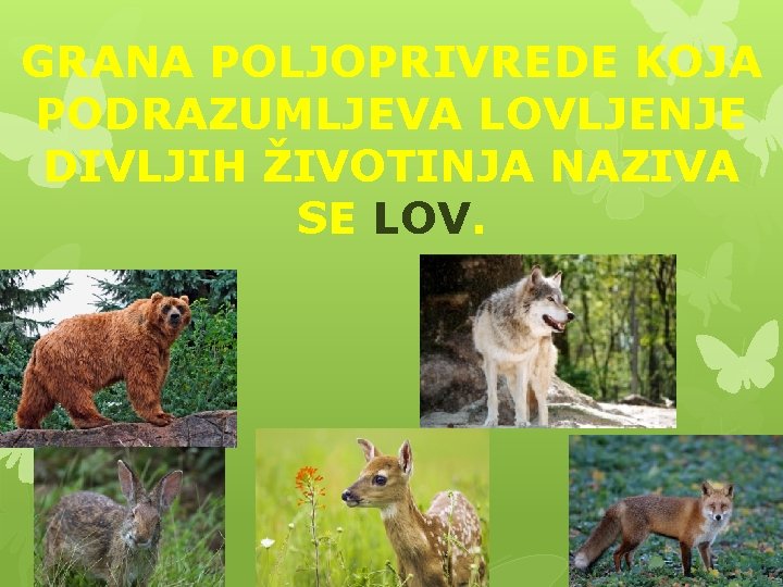 GRANA POLJOPRIVREDE KOJA PODRAZUMLJEVA LOVLJENJE DIVLJIH ŽIVOTINJA NAZIVA SE LOV. 