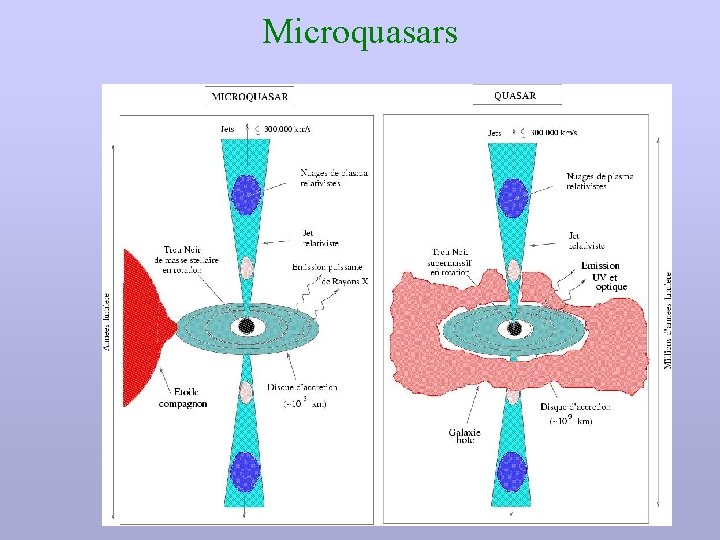 Microquasars 