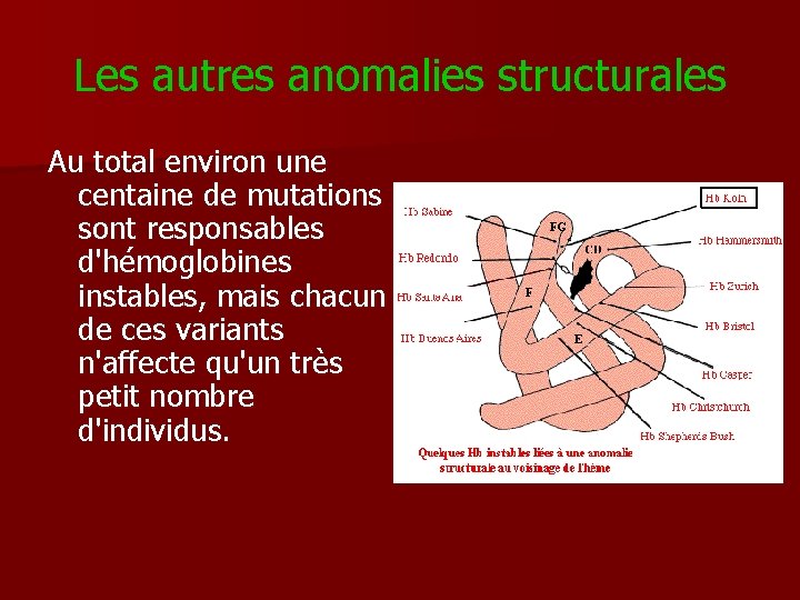 Les autres anomalies structurales Au total environ une centaine de mutations sont responsables d'hémoglobines
