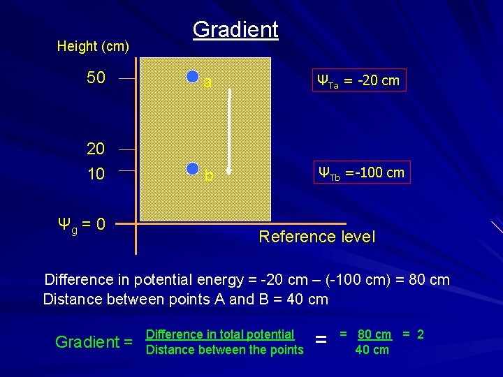 Height (cm) Gradient 50 a ΨTa = -20 cm 20 10 b ΨTb =-100