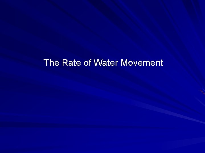 The Rate of Water Movement 
