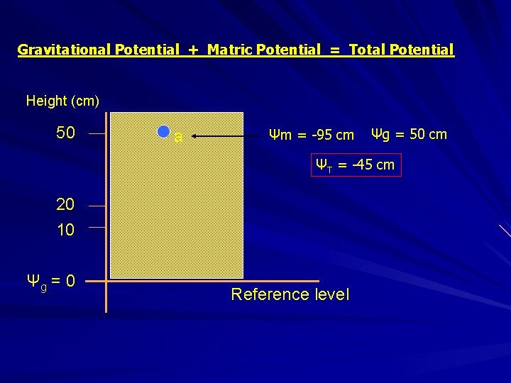 Gravitational Potential + Matric Potential = Total Potential Height (cm) 50 a Ψm =