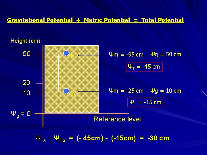 Gravitational Potential + Matric Potential = Total Potential Height (cm) 50 a Ψm =