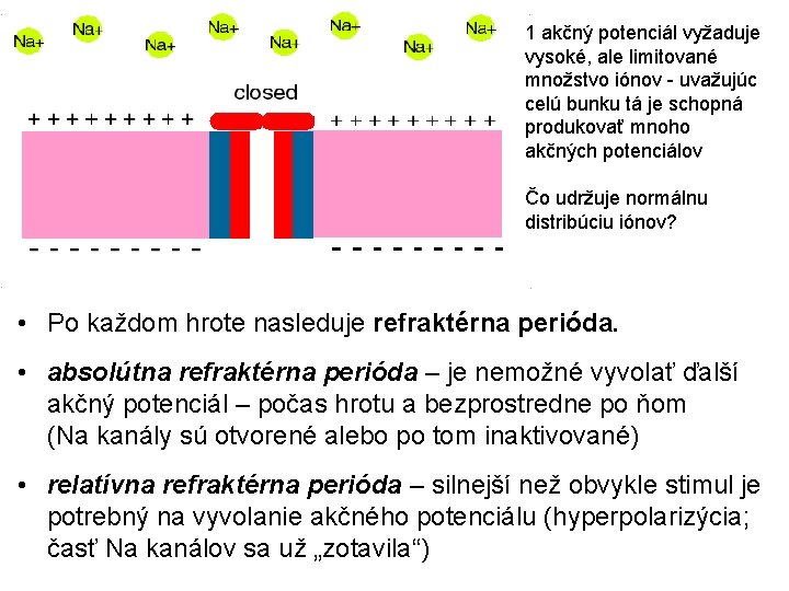 1 akčný potenciál vyžaduje vysoké, ale limitované množstvo iónov - uvažujúc celú bunku tá