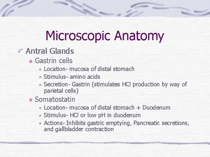 Microscopic Anatomy Antral Glands Gastrin cells Location- mucosa of distal stomach Stimulus- amino acids
