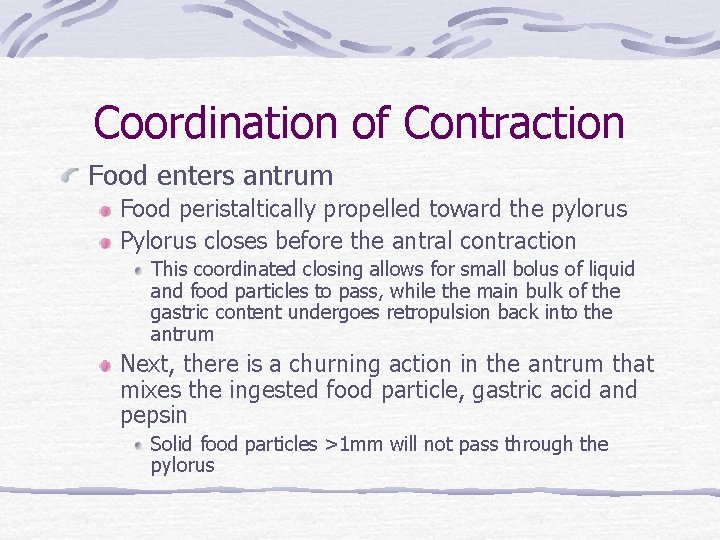 Coordination of Contraction Food enters antrum Food peristaltically propelled toward the pylorus Pylorus closes