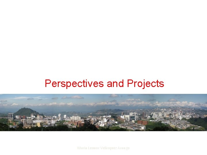 Perspectives and Projects Maria Leonor Velásquez Arango 28 
