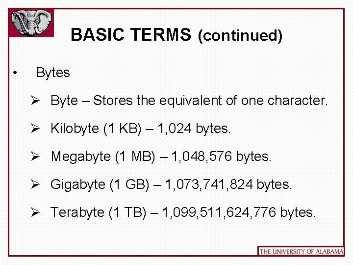 BASIC TERMS (continued) • Bytes Ø Byte – Stores the equivalent of one character.